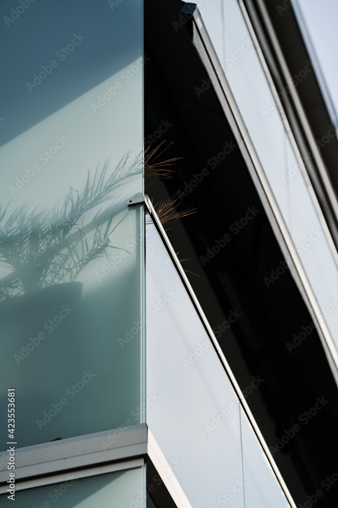 Silhouette of a plant. Silhouette of a plant.