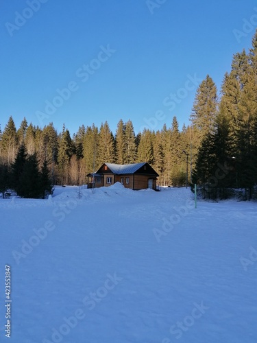 cabin in the woods