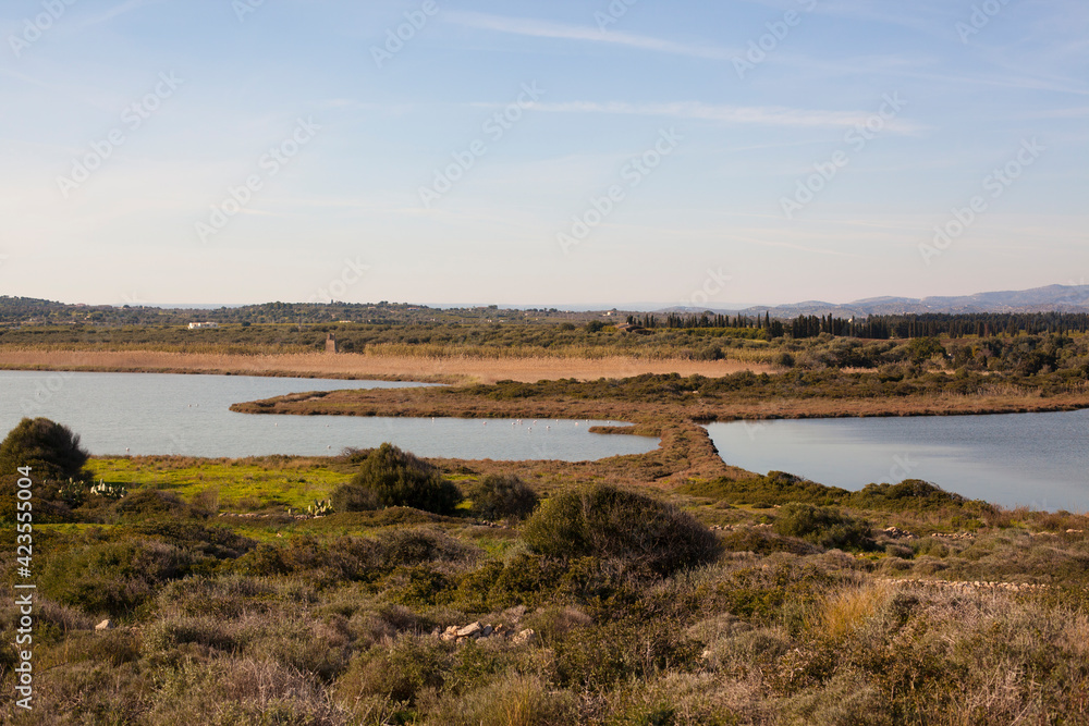Beautiful lake with flamingo in Sicily, Italy. Scenic mediterranean landscape Beautiful lake with flamingo in Sicily, Italy. Scenic mediterranean landscape