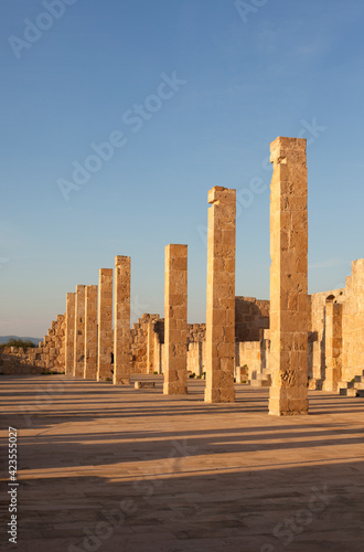 Ancient greek columns in sunset time with beautiful light on Sicily, Italy