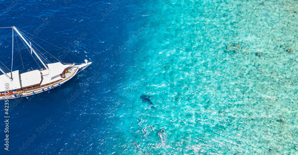 White sailboat, yacht in shallow tropical water. People snorkeling with whale shark. Amazing nature view, aerial seascape. Summer recreational vacation, water sport activity. Blue ocean coral sea reef