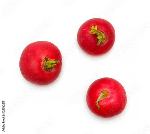 red radish vegetable