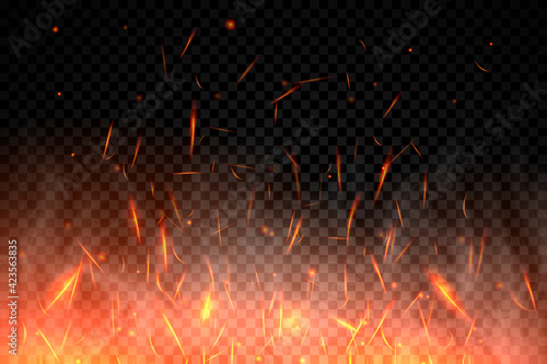 Realistic fire sparks background on a transparent background. Burning hot sparks effect with embers burning cinder and smoke flying in the air. Heat effect with glow and sparks from bonfire. Vector