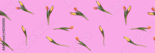 Seamless pattern, tulip flowers on pink background
