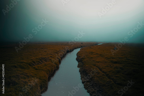 Paisaje  naturaleza  en alg  n lugar de la sierra ecuatoriana.