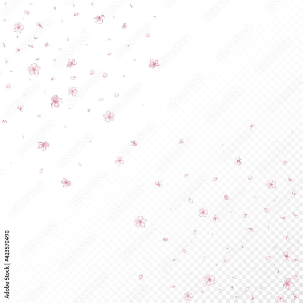 Sakura Cherry Blossom Confetti. Blooming Cosmetics Ad Beautiful