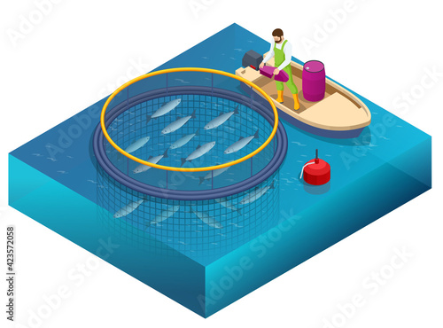 Isometric Fish Farm. Producing Trout and Salmon, Carp, Tilapia, and Catfish. Fish farming or pisciculture involves raising fish commercially in tanks or enclosures such as fish ponds for food.