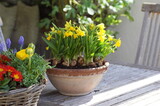 Decorative easter pot with yellow daffodil flowers on a garden table in spring