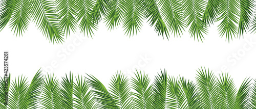 Tropical palm leaves frame botanical vector illustration.