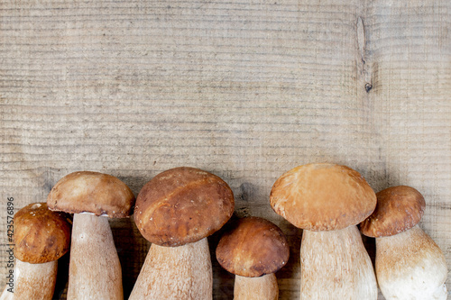 Basket of edible mushrooms: bolete and boletus, rustic wooden background, selective focus, toned image