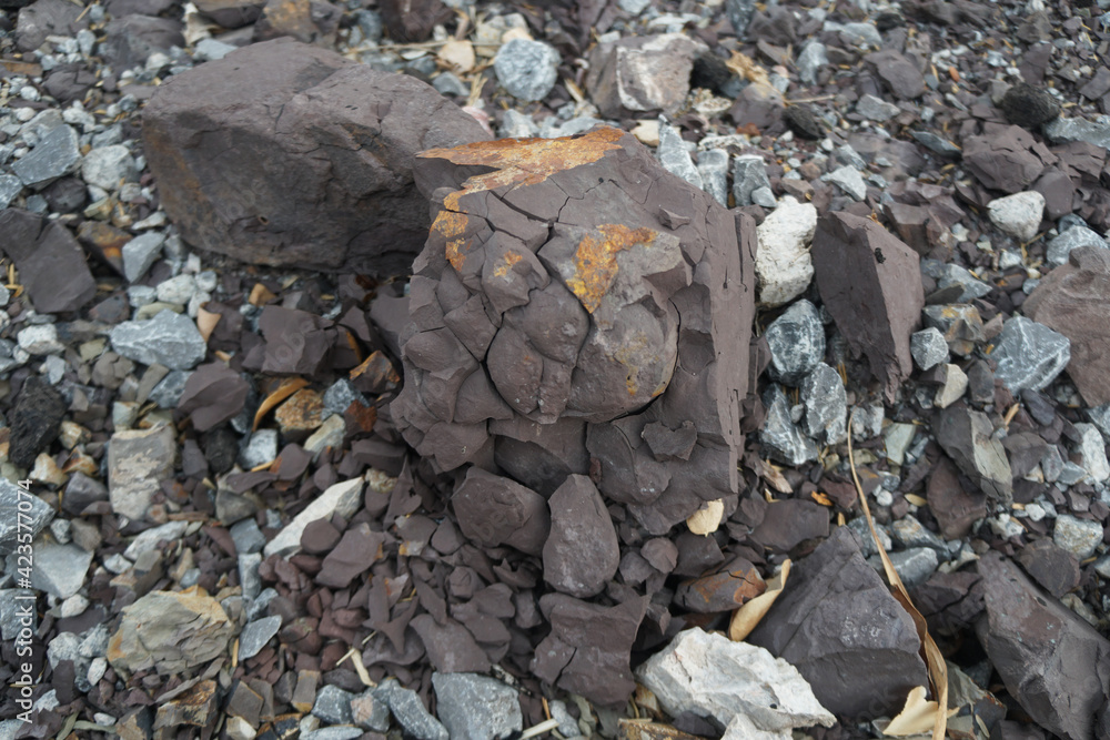 Shale is a laminated or fissile clastic sedimentary rock that composed of predominance of silt and clay other minerals , especially quartz and calcite. Shale is a laminated or fissile clastic sedimentary rock that composed of predominance of silt and clay other minerals , especially quartz and calcite.