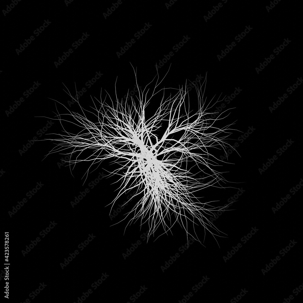 White tree 3d rendering. Tree picture. Black background. White tree 3d rendering. Tree picture. Black background.