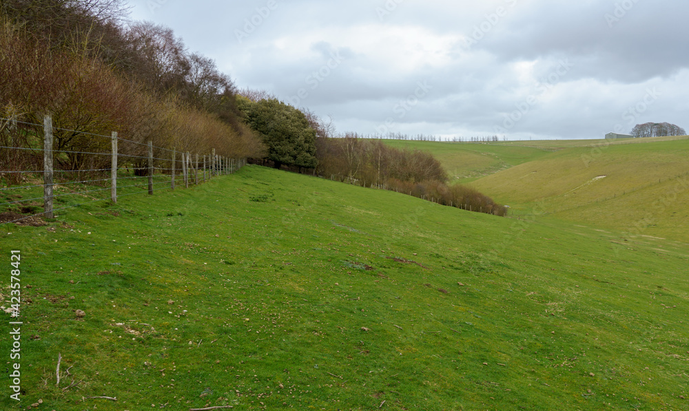 Obraz premium view up a rabbit warren strewn valley on the up-faulted Southern edge of Pewsey Vale, Wiltshire, North Wessex Downs AONB