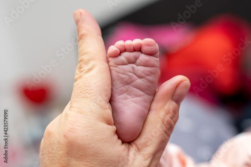 Der Fuß eines neugeborenen Babys zwischen Daumen und Zeigerfinger der Hand einer jungen Mutter