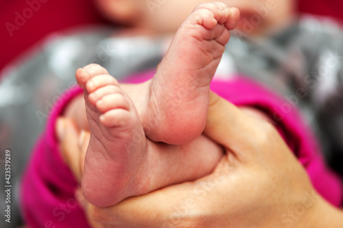 Die Füße eines neugeborenen Babys werden von den Händen der Mutter gehalten