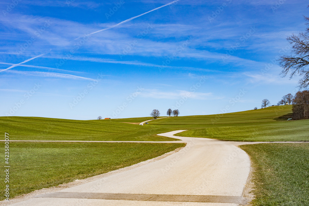 country road in meadows 