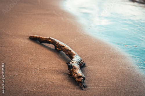 Sea coast with waves and wodden stick