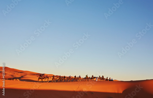 Caravan of tourists passing desert lake on camels during their lifetime adventure trip