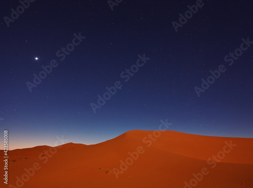 Stars at night over the dunes  Sahara Desert  Morocco