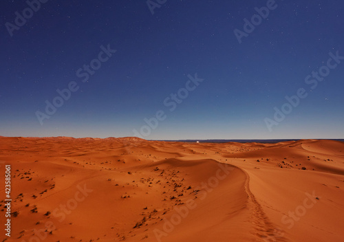Stars at night over the dunes  Sahara Desert  Morocco