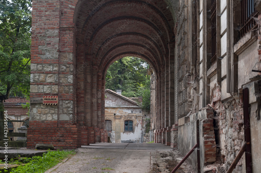 Naklejka premium The abandoned old palace in Pilica in Poland