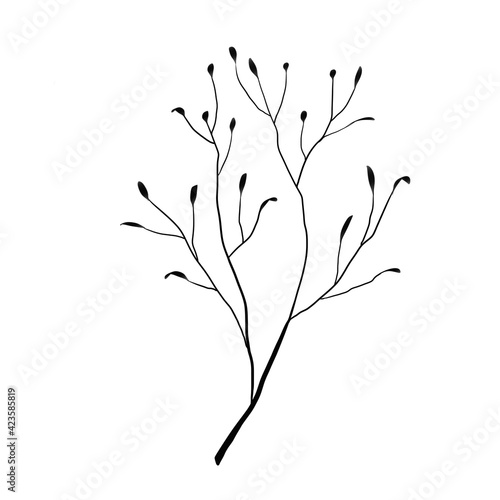 The silhouette of a tree branch with petals, a bitmap isolated black image on a white background. Design for wallpaper, fabrics, textiles. 