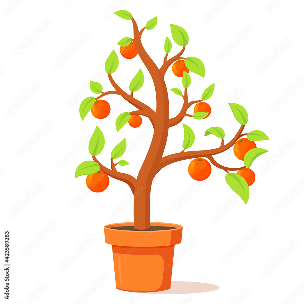 Fruit tree in a pot.Orange tree with ripe fruits. Citrus fruit.Isolated on white background.Vector flat illustration.