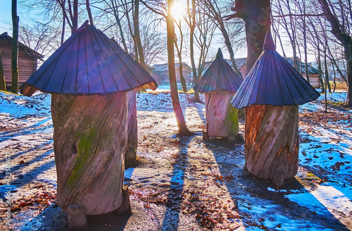 The log hives on the snowy sunny forest glade, Polissya region, Pyrohiv Skansen, Kyiv, Ukraine photo