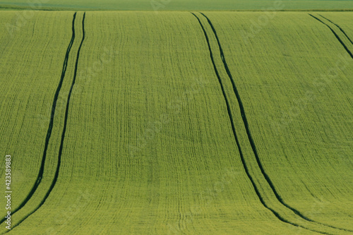 Paysage de champs cultivés, de grandes étendues de cultures en agriculture intensive photo