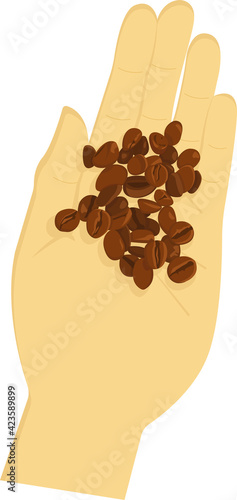 Hand holds roasted brown coffee beans. Realistic handful of fragrant coffee beans. Outstretched palm. Coffee shop, coffee lover. Production. Espresso, americano, latte, cappuccino. Flat vector