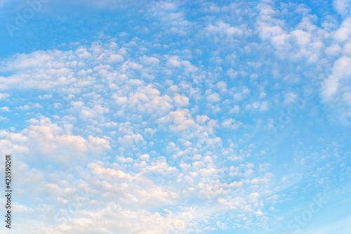 Photography Fluffy translucent cirrocumulus clouds high in a blue sky