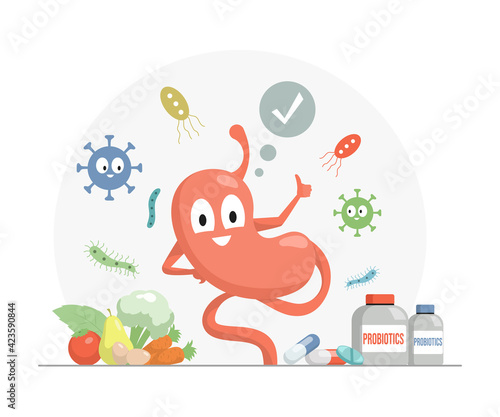 Happy stomach showing thumbs up vector flat cartoon illustration. Vitamins, supplements, and minerals for health and good digestion concept. Fruits and bottles with probiotics pills.