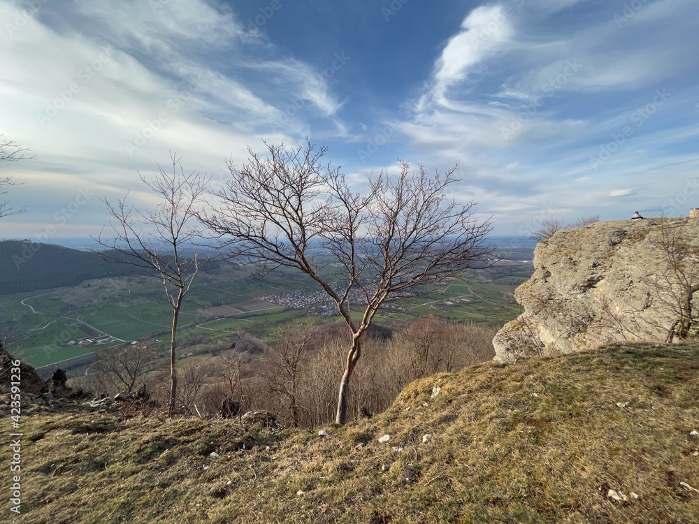 Ein kahler Baum steht am Abhang des Breitensteins in Ochsenwang auf der Schwäbischen Alb. Das Albvorland dahinter liegt 400 Meter tiefer als der 811 Meter hohe Breitenstein. Ein kahler Baum steht am Abhang des Breitensteins in Ochsenwang auf der Schwäbischen Alb. Das Albvorland dahinter liegt 400 Meter tiefer als der 811 Meter hohe Breitenstein.