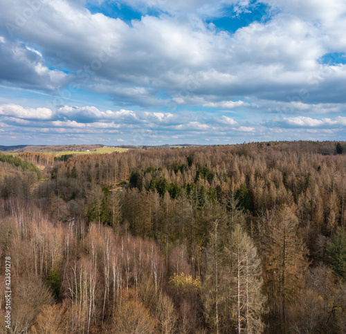 Aerial view over forests and meadows of Westerwald, Altenkirchen, Germany