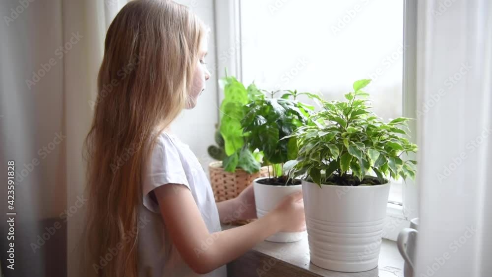 Little girl caring for houseplants.
Little girl caring for houseplants.