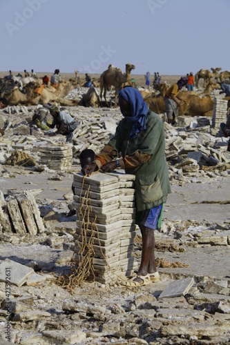 Paysage du désert de Danakil dans le nord de l'Ethiopie