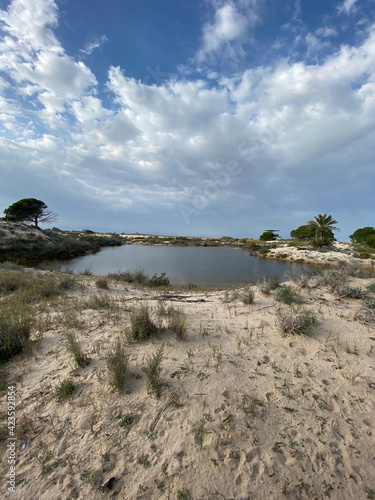 Salinas Del Pinet natural park, located in Alicante, Spain photo