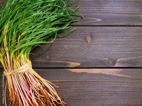 Εκτύπωση καμβά Bunch of fresh agretti (salsola soda) with copy space on wooden rustic table