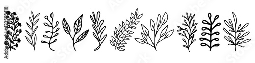 Collection of outline vector plants like leaves and branches. Bundle of botanical line graphic elements for invitations  cards  stationary and more.