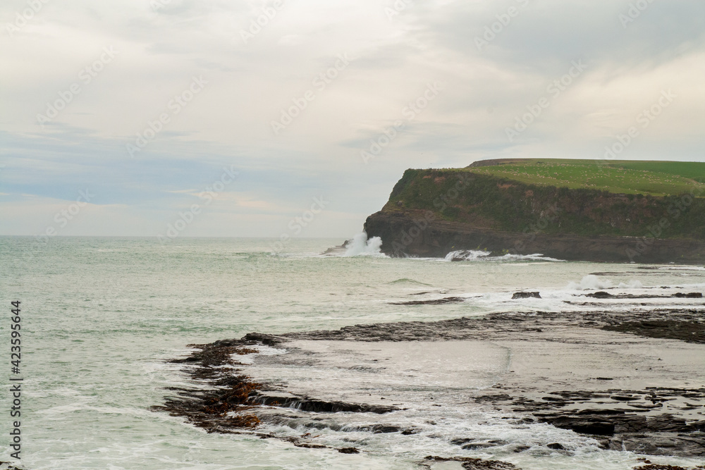 Curio Bay Cliffs at Porpoise Bay, Catlins Coast, New Zealand