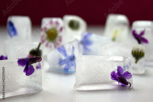 Small pieces of ice in which bright spring flowers are frozen. White background - ice with flowers.Selective focus.