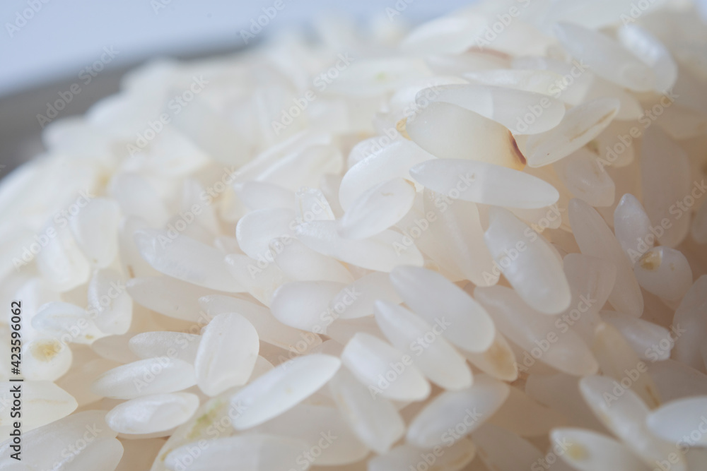 macro shot of baldo rice grains. Selective Focus. macro shot of baldo rice grains. Selective Focus.