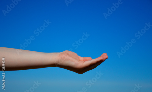 an outstretched female hand against a blue sky, the hand is turned palm up, fingers are folded together © Дмитрий Быканов