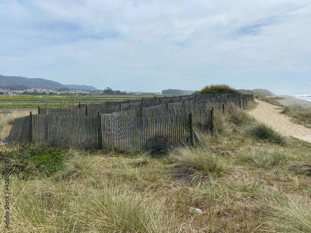 View of dune fencing to control wind erosion and encourage dune stability at the North Coast Natural Park. The Protected Landscape of Esposende Coast, Portugal.