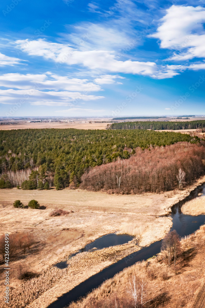 Forest landscape with sky, field and river. Spring sunny day, wild European nature. Beautiful sky. Top view, aerial photography. 