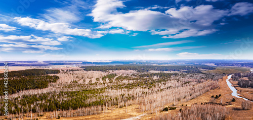 Forest landscape with sky, ...