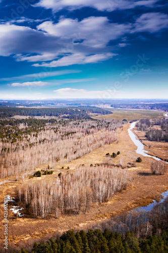 Forest landscape with sky, ...