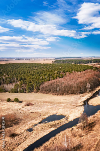 Forest landscape with sky, ...