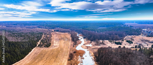 Forest landscape with sky, ...