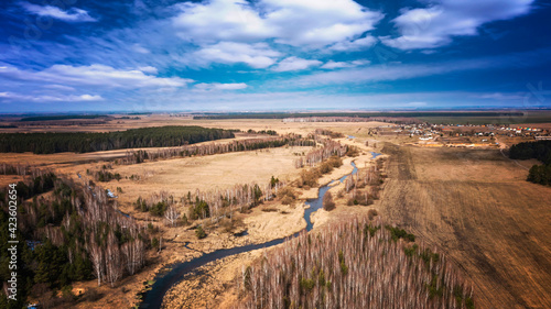 Forest landscape with sky, ...